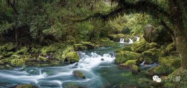 随手一拍都是一个风景视频,随手一拍就是一幅油画