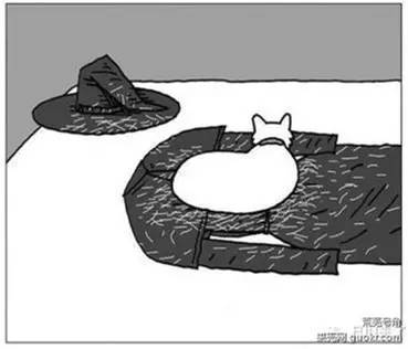 家里毛毛怎么彻底清除,家里毛毛比较多怎么才能拖干净