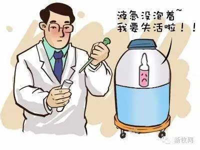 疫苗副作用掉发,疫苗副作用小的原因