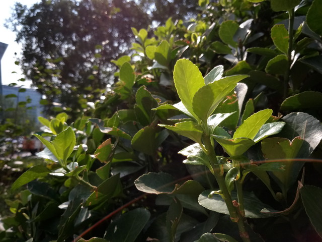 手机好不好用只看配置吗,朵唯a8手机换一个内屏多少钱