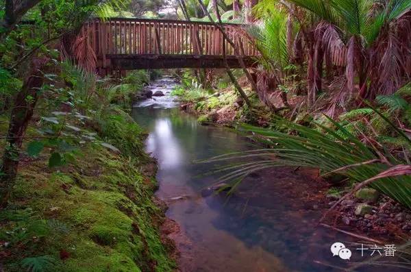 随手一拍都是一个风景视频,随手一拍就是一幅油画