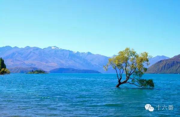 随手一拍都是一个风景视频,随手一拍就是一幅油画