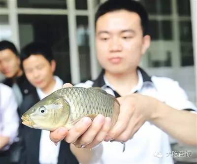 现有贮藏方式,贮藏方式