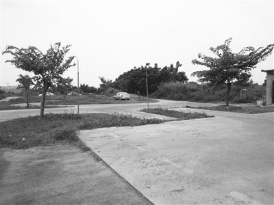 只有考过驾证的人才知道中间艰辛,驾考人的心酸