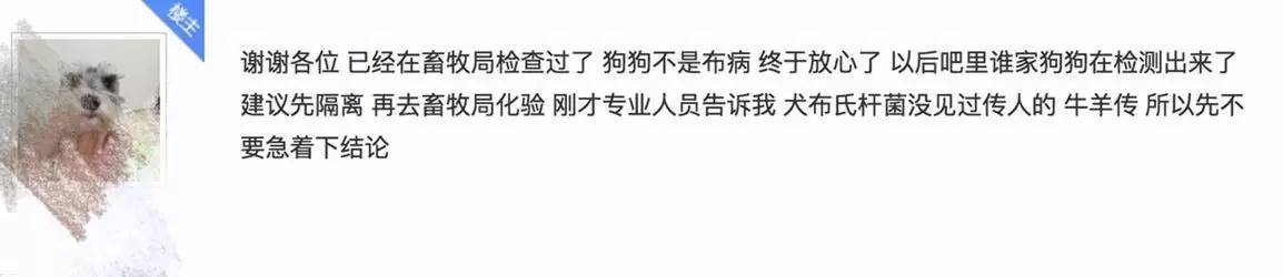 别让试纸草率地夺去猫狗的命！