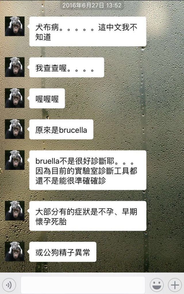 别让试纸草率地夺去猫狗的命！