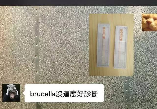 别让试纸草率地夺去猫狗的命！