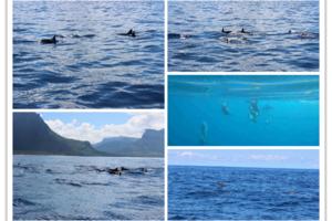 身心的放逐---毛里求斯