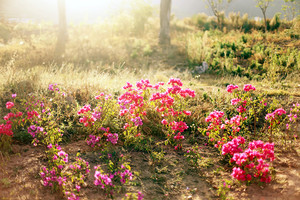 初冬的泸沽湖视频,初冬泸沽湖的水