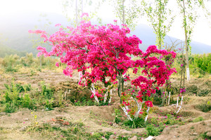 初冬的泸沽湖视频,初冬泸沽湖的水