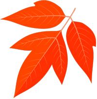 有问必答疾病知识,风湿患者问答