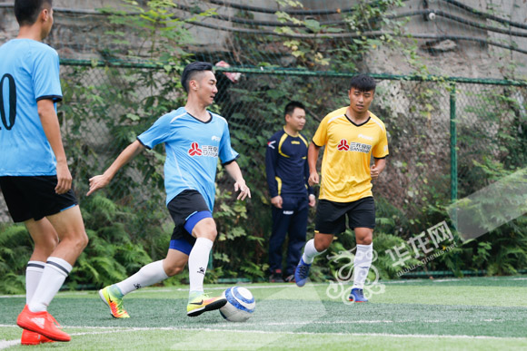 小罗菲戈银川,小罗菲戈德尚观赛