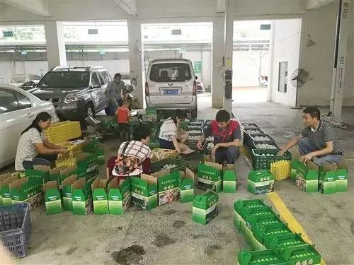 援助|自己患癌儿子紫癜坚强妈妈自力更生卖海鸭蛋赚钱治病