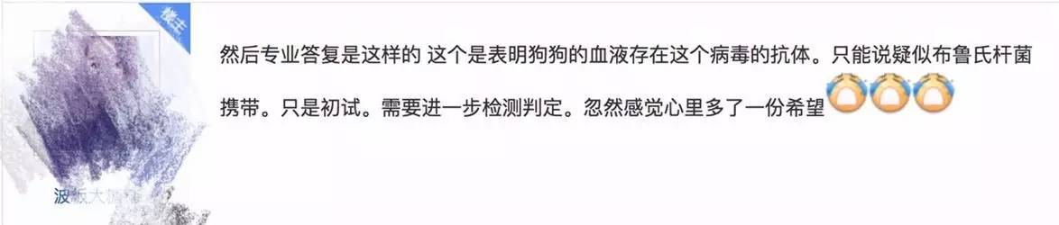 别让试纸草率地夺去猫狗的命！