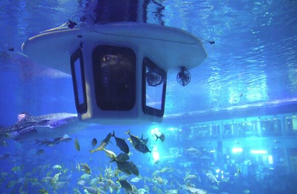 “鱼”国同欢，199元看海坐潜艇!——浩海立方超值海洋游礼献国庆