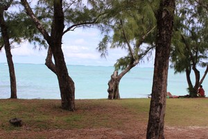 身心的放逐---毛里求斯