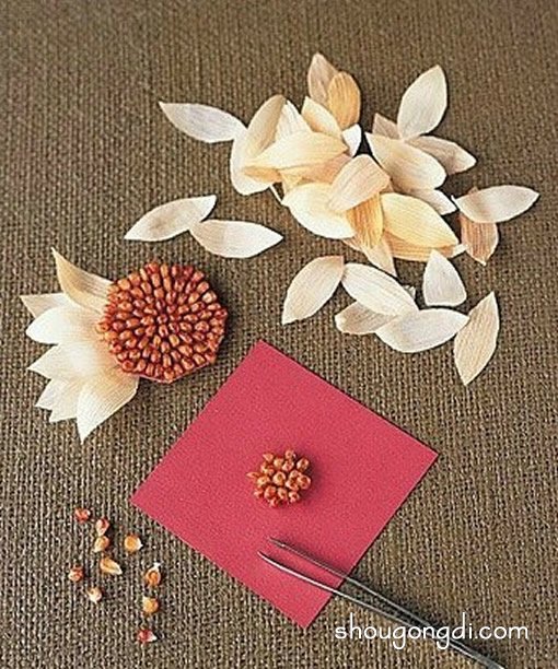 玉米叶做仿真花的方法，你也可以制作一朵哦