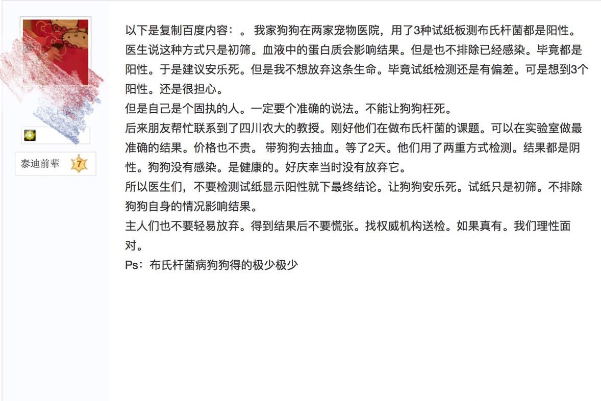 别让试纸草率地夺去猫狗的命！