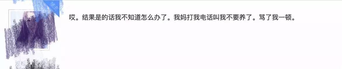 别让试纸草率地夺去猫狗的命！