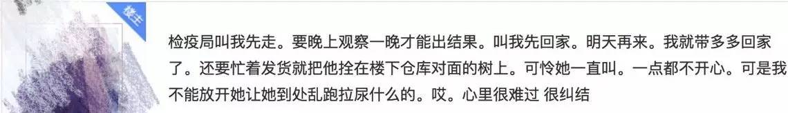 别让试纸草率地夺去猫狗的命！