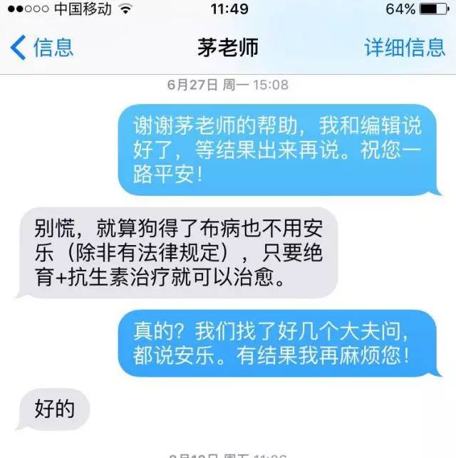 别让试纸草率地夺去猫狗的命！