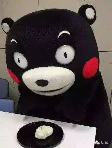 熊本熊发展历程,为什么是熊本熊