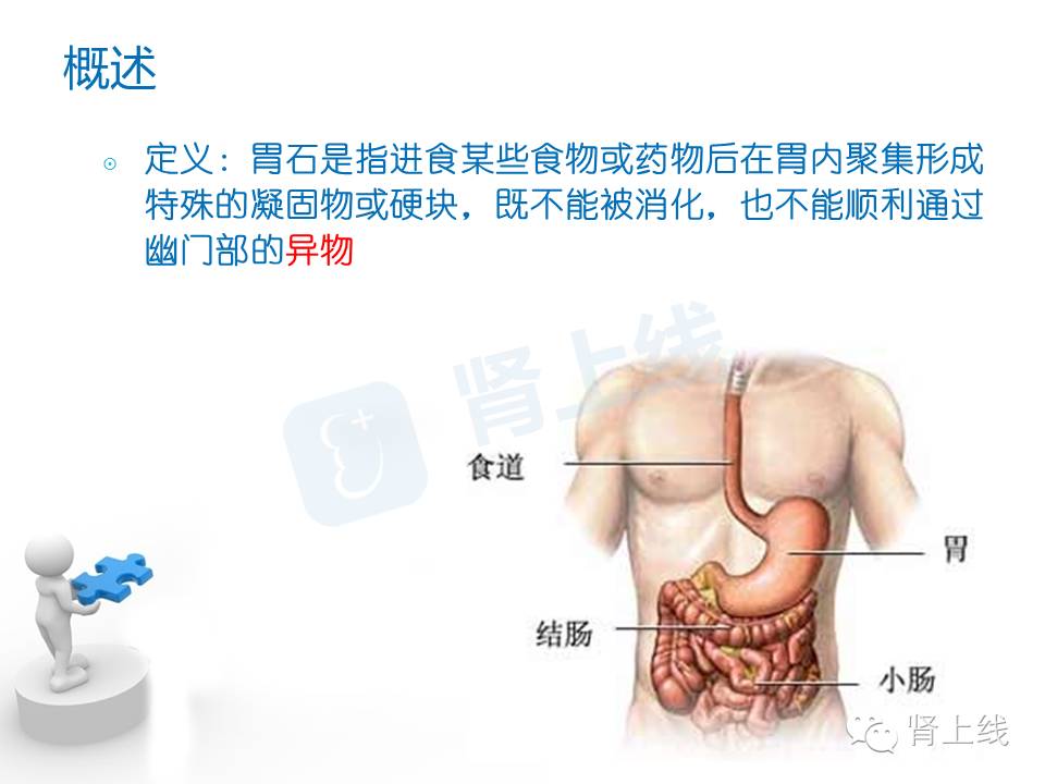 吃山楂取出胃结石,吃10个山楂胃结石有多少