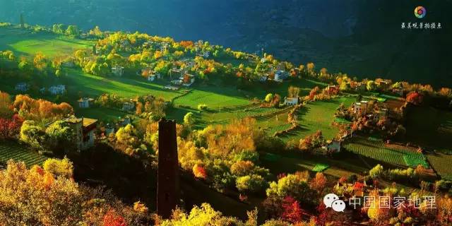 寻找一抹秋色,寻找不一样的质感