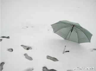 张嘉佳关于爱的语录,张嘉佳我想留在你身边经典语录