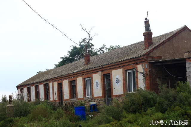 澶ц繛绾㈠矝,澶ц繛甯傞噾宸炲尯绾㈠矝