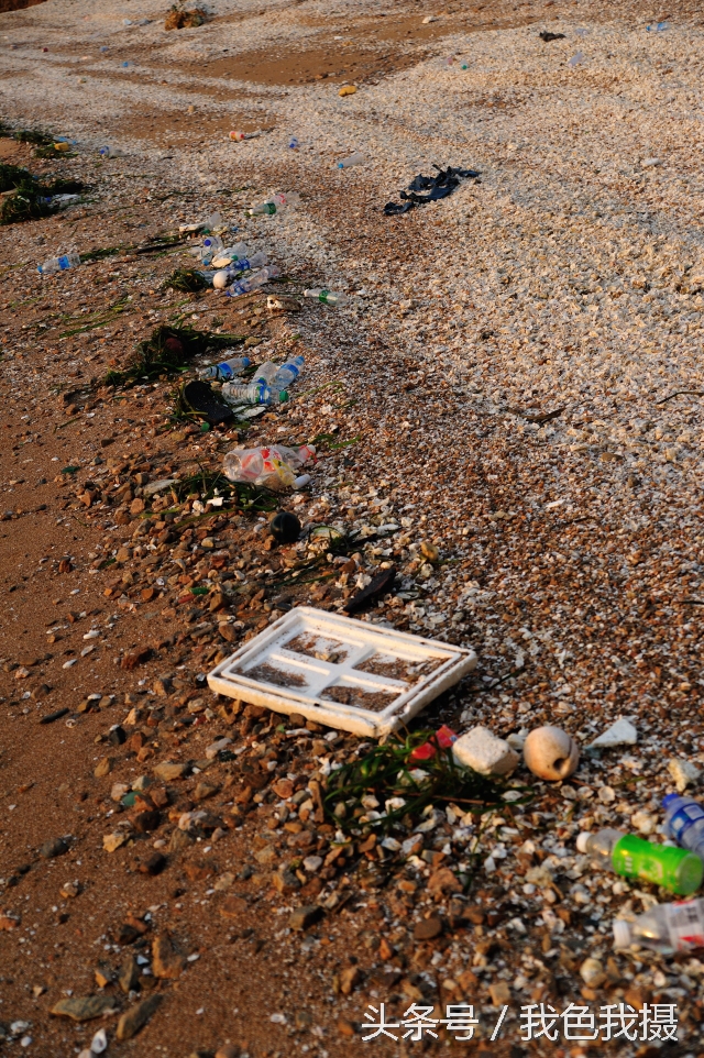 澶ц繛绾㈠矝,澶ц繛甯傞噾宸炲尯绾㈠矝