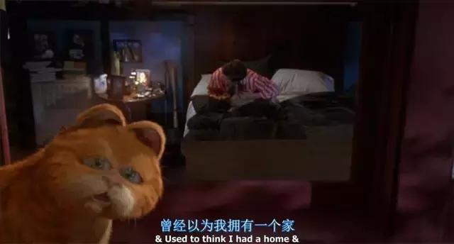 就让加菲毁掉你的中秋吧喵哈哈哈