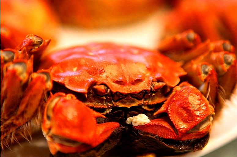 郴州国际大酒店五道菜,郴州百味食府