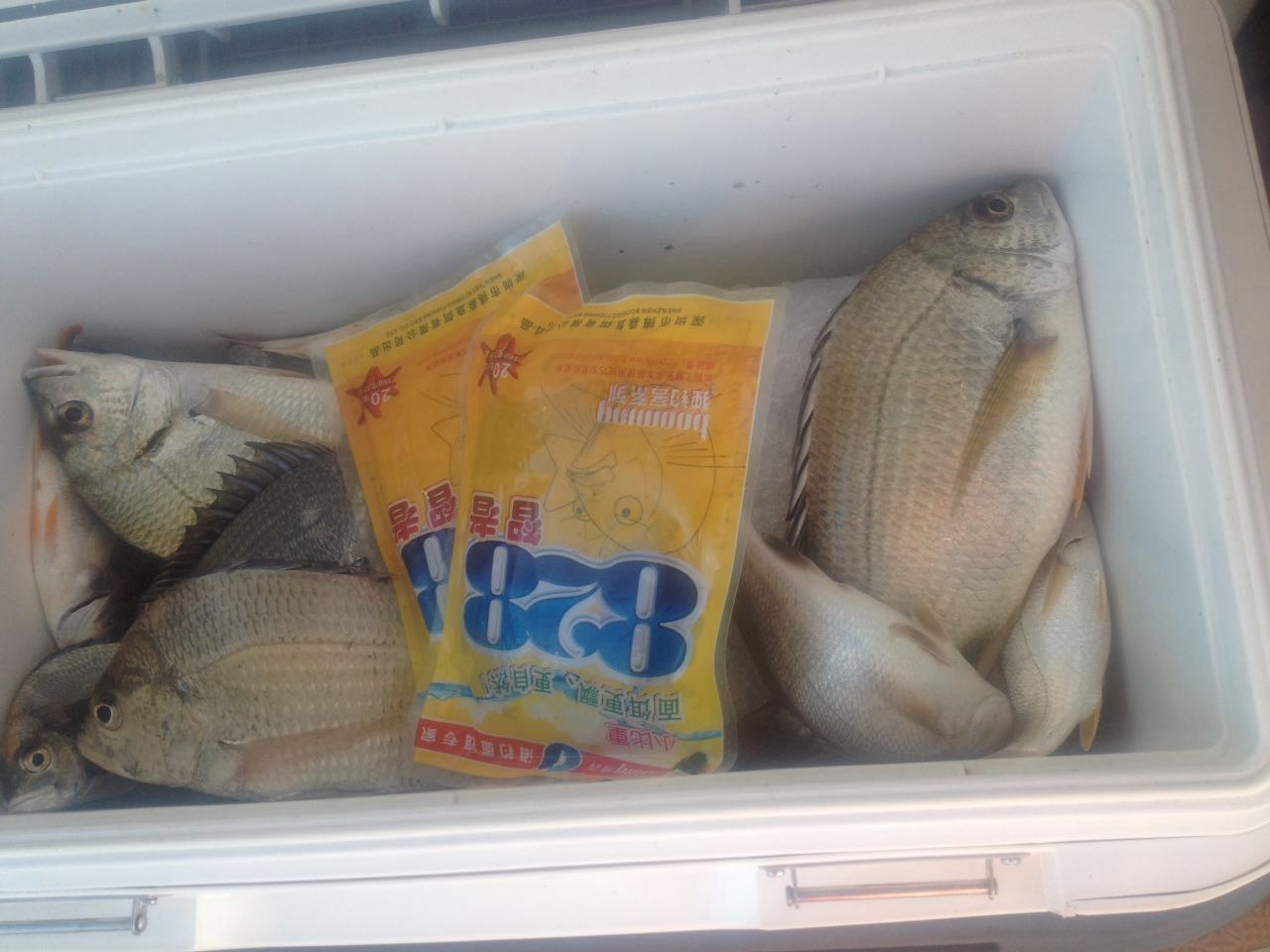 海筏最佳时间表,夏天岸筏技巧