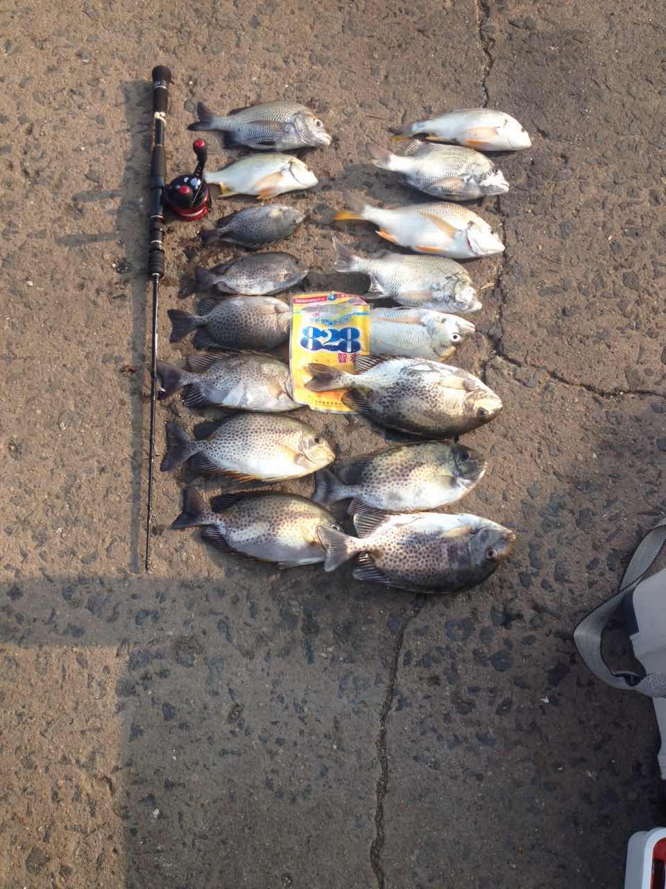 海筏最佳时间表,夏天岸筏技巧