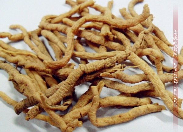 中药药用一览表 (消炎中药药用一览表)