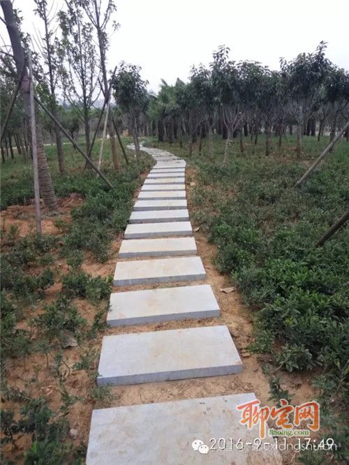 书香水岸质量怎么样,书香水岸好吗