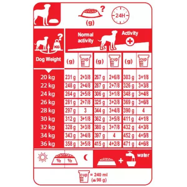 狗狗太瘦不爱吃狗粮怎么办,狗狗最近不怎么吃狗粮而且瘦了