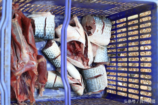 澶ц繛绾㈠矝,澶ц繛甯傞噾宸炲尯绾㈠矝