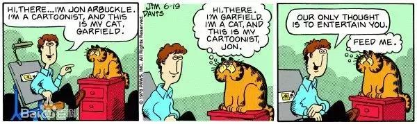 就让加菲毁掉你的中秋吧喵哈哈哈