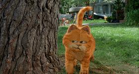 就让加菲毁掉你的中秋吧喵哈哈哈