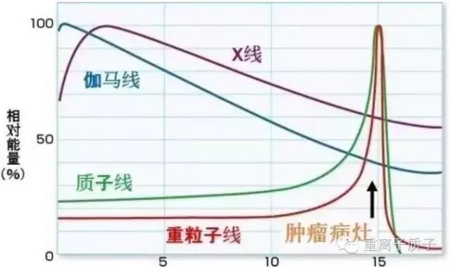 放射肿瘤学进展,2010年以来关于肿瘤生物研究成果
