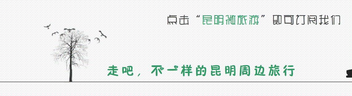 如果是这样的客栈，你想怎么睡我都要得