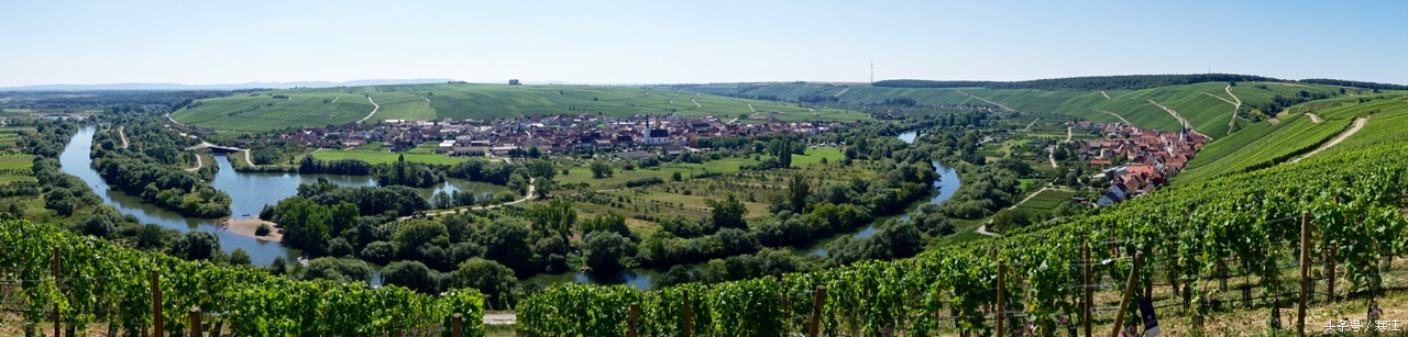 美丽的莱茵河东岸最著名的葡萄酒,法兰肯葡萄酒