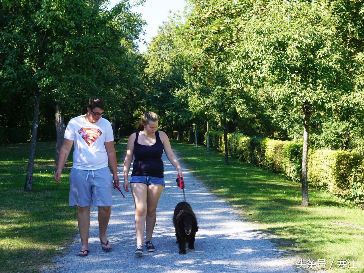 美丽的莱茵河东岸最著名的葡萄酒,法兰肯葡萄酒