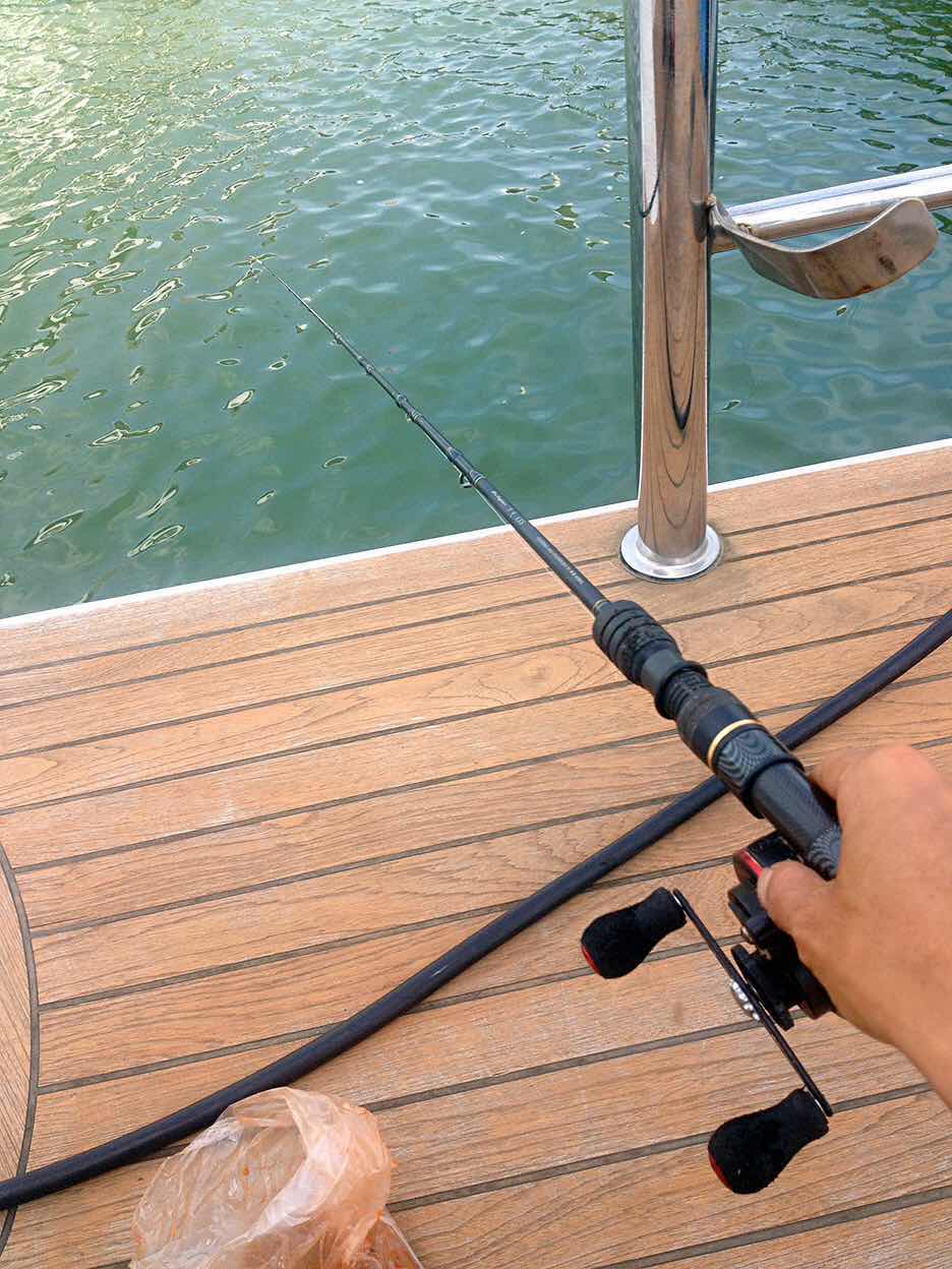 海筏最佳时间表,夏天岸筏技巧