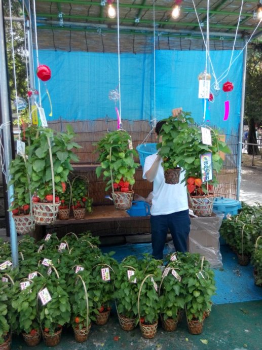 日本东京的城市特点,日本东京被称为什么