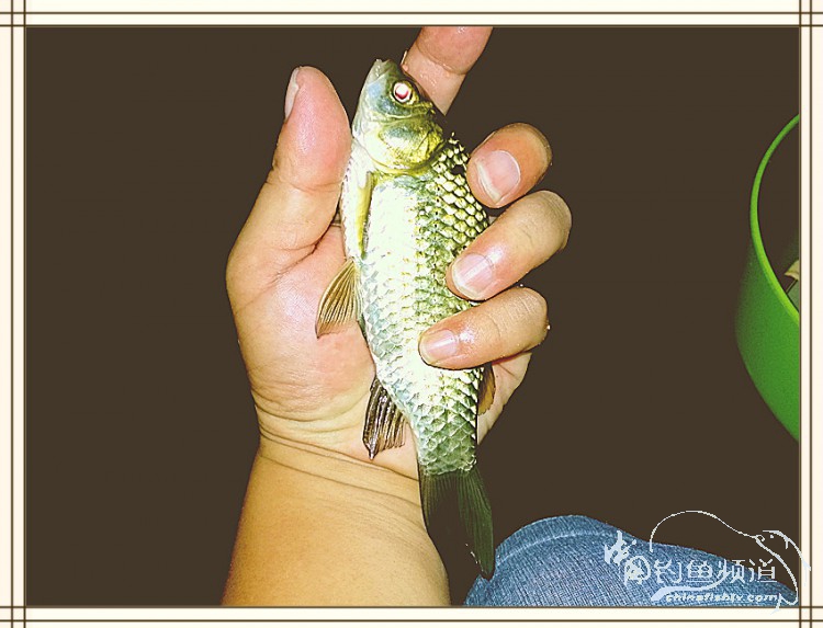 钓鱼独辟蹊径,钓鱼不求渔获