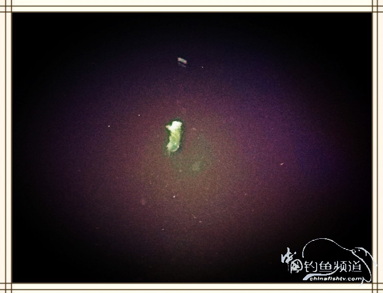 钓鱼独辟蹊径,钓鱼不求渔获