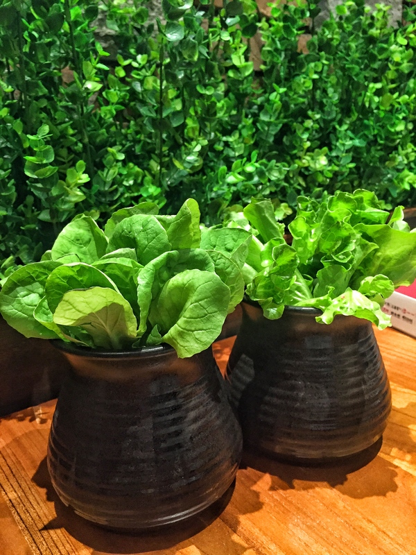 石锅鱼好处,原生态石锅鱼美味